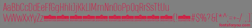 HeadingProExtralightTrial Font – Red Fonts on Gray Background