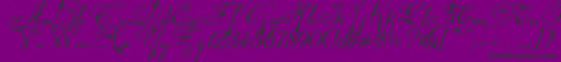 Rhalinaexpi Font – Black Fonts on Purple Background
