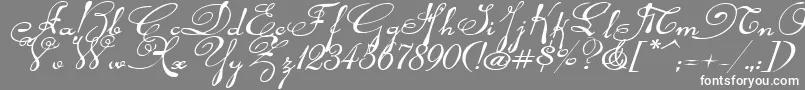 Rhalinaexpi Font – White Fonts on Gray Background