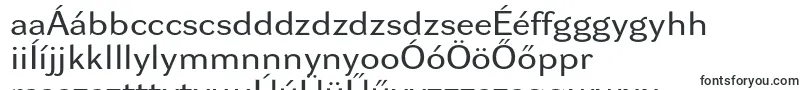 Dynagroteskrxe-fontti – unkarilaiset fontit