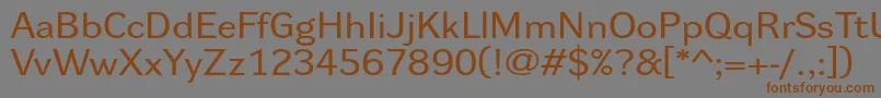 Dynagroteskrxe Font – Brown Fonts on Gray Background