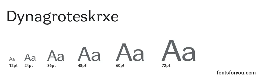Dynagroteskrxe Font Sizes