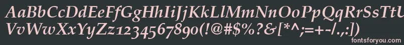 PalatinoBoldItalicOldStyleFigures Font – Pink Fonts on Black Background