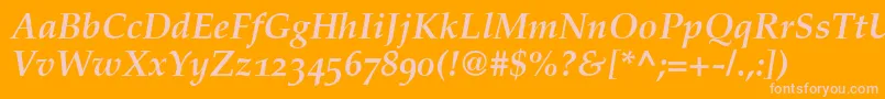 PalatinoBoldItalicOldStyleFigures Font – Pink Fonts on Orange Background