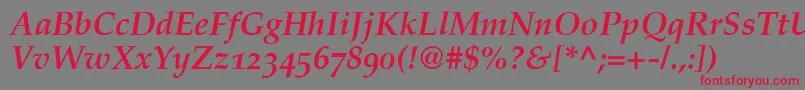 PalatinoBoldItalicOldStyleFigures Font – Red Fonts on Gray Background