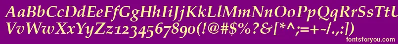 PalatinoBoldItalicOldStyleFigures-Schriftart – Gelbe Schriften auf violettem Hintergrund