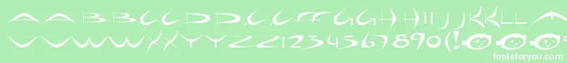 HolidayHardcore Font – White Fonts on Green Background