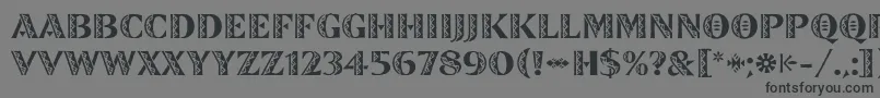 ZinjaroLetPlain Font – Black Fonts on Gray Background