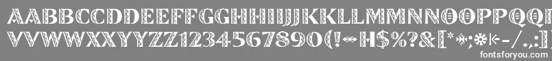 ZinjaroLetPlain Font – White Fonts on Gray Background
