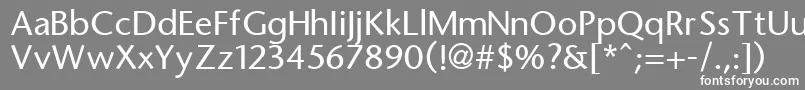 フォントFassesans – 灰色の背景に白い文字