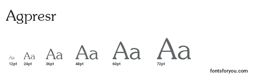 Размеры шрифта Agpresr