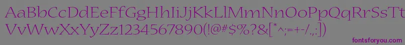 NuevastdLightextended Font – Purple Fonts on Gray Background