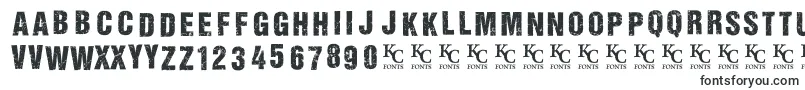 AllagesdemoBolditalic Font – Tall Fonts