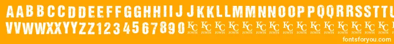 AllagesdemoBolditalic Font – White Fonts on Orange Background