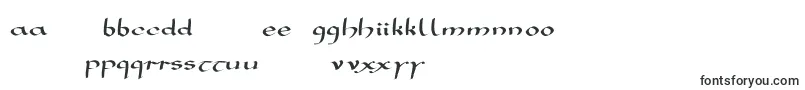 Mkarolingish-fontti – vietnamilaiset fontit