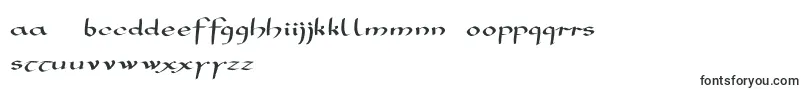 Mkarolingish-fontti – espanjalaiset fontit