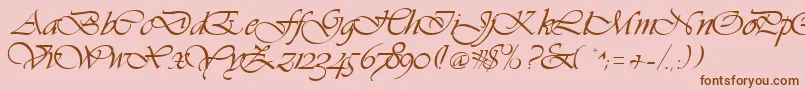 Hanford Font – Brown Fonts on Pink Background