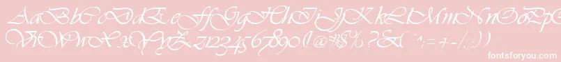 Hanford-Schriftart – Weiße Schriften auf rosa Hintergrund