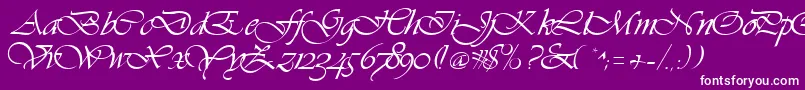 Hanford Font – White Fonts on Purple Background