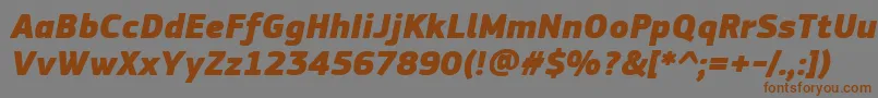 Шрифт PfsquaresansproExtrablackitalic – коричневые шрифты на сером фоне