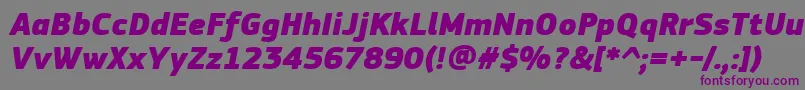 PfsquaresansproExtrablackitalic Font – Purple Fonts on Gray Background