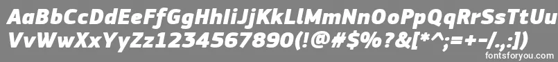 Fonte PfsquaresansproExtrablackitalic – fontes brancas em um fundo cinza