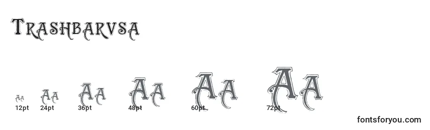 Размеры шрифта Trashbarusa
