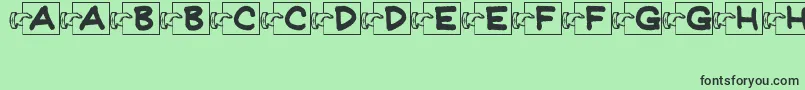 FlashCardsJl Font – Black Fonts on Green Background