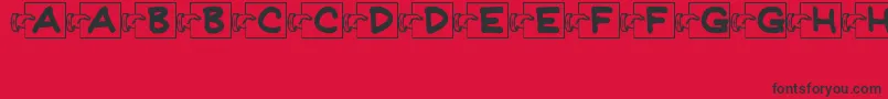 FlashCardsJl Font – Black Fonts on Red Background