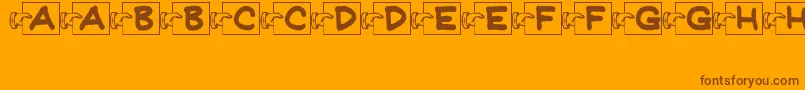 FlashCardsJl Font – Brown Fonts on Orange Background