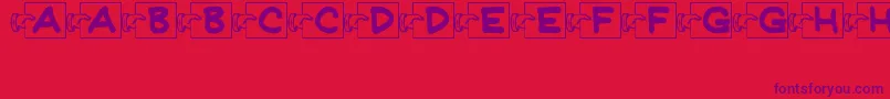 FlashCardsJl Font – Purple Fonts on Red Background