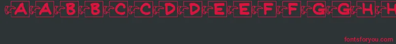 FlashCardsJl Font – Red Fonts on Black Background