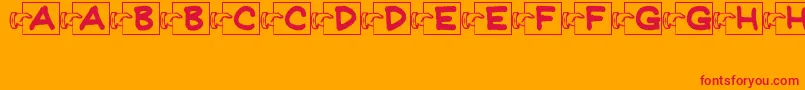 FlashCardsJl Font – Red Fonts on Orange Background