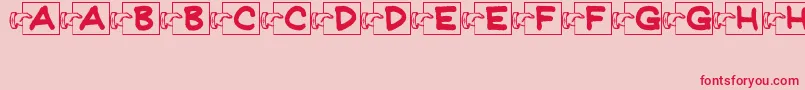 FlashCardsJl Font – Red Fonts on Pink Background