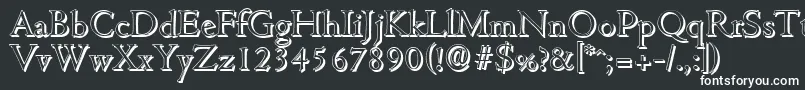 CambridgeshadowLightRegular Font – White Fonts on Black Background