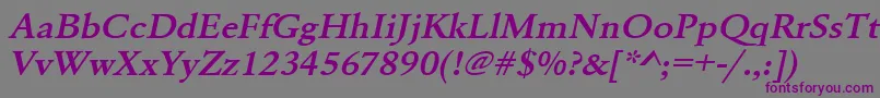 UrwgaramondtdemextwidOblique Font – Purple Fonts on Gray Background