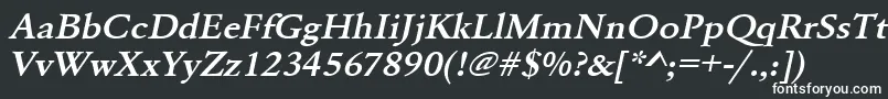 UrwgaramondtdemextwidOblique Font – White Fonts on Black Background