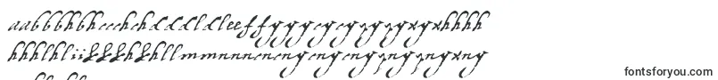 Margaretha-fontti – zulun fontit