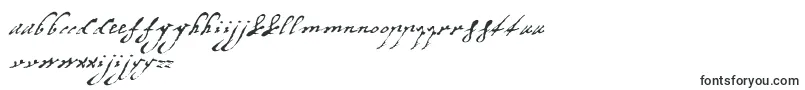 Шрифт Margaretha – нидерландские шрифты