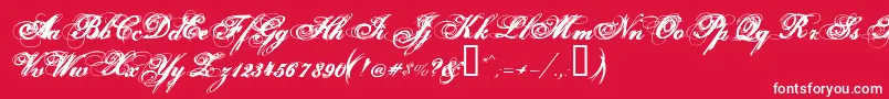 HurricaneSupadupaserif Font – White Fonts on Red Background