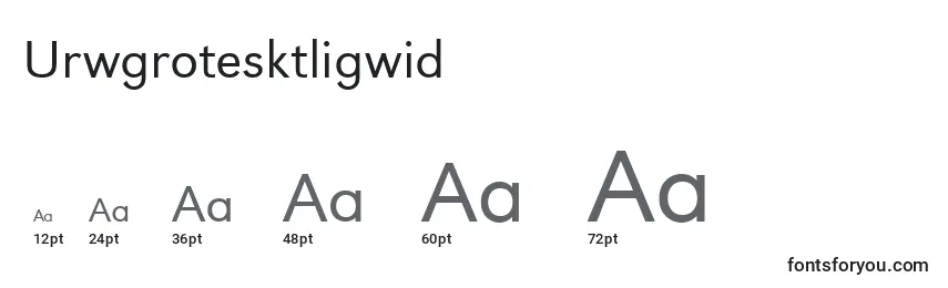 Размеры шрифта Urwgrotesktligwid