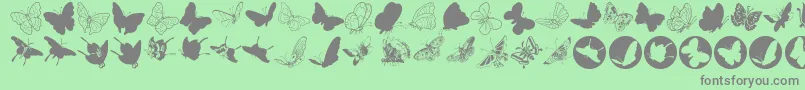 Butterfly-Schriftart – Graue Schriften auf grünem Hintergrund