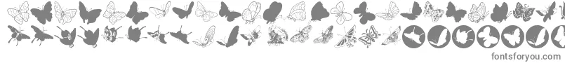 フォントButterfly – 白い背景に灰色の文字