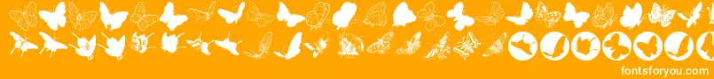 Fonte Butterfly – fontes brancas em um fundo laranja