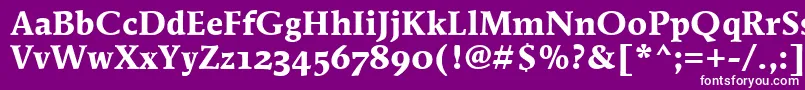 フォントMendozaRomanOsItcTtBold – 紫の背景に白い文字