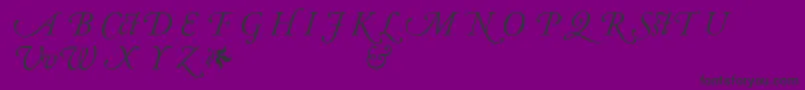 Fonte AdobeGaramondItalicAlternate – fontes pretas em um fundo violeta