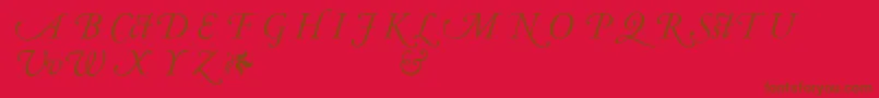 AdobeGaramondItalicAlternate Font – Brown Fonts on Red Background