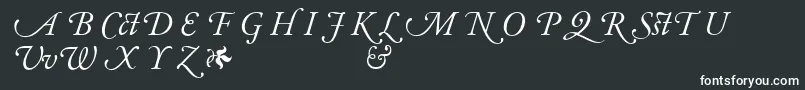 AdobeGaramondItalicAlternate-Schriftart – Weiße Schriften auf schwarzem Hintergrund