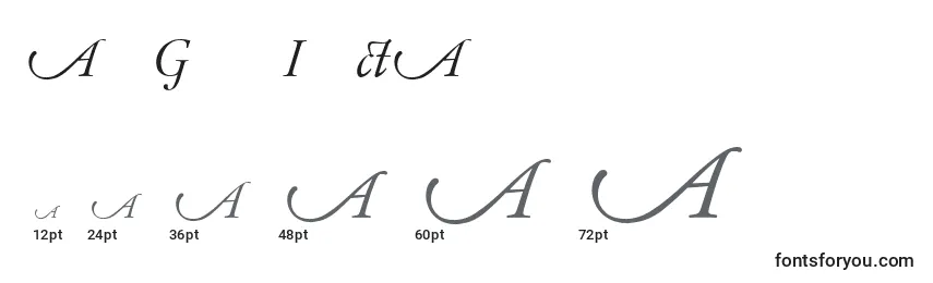 Размеры шрифта AdobeGaramondItalicAlternate
