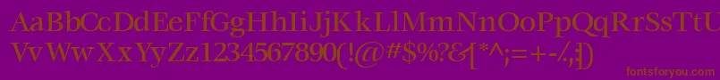 Voracemediumssk Font – Brown Fonts on Purple Background